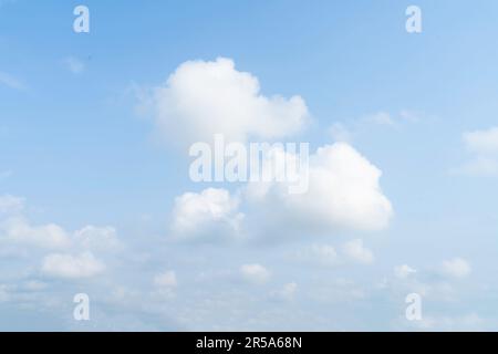 crow survolant contre le ciel bleu Banque D'Images