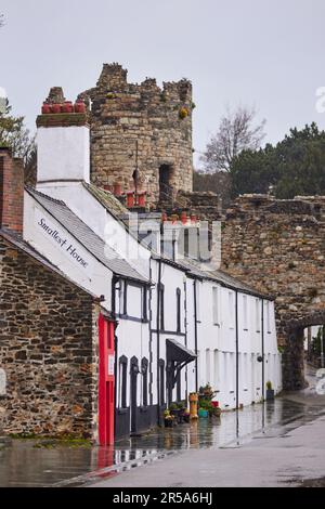 Attraction touristique Conwy la plus petite maison en Grande-Bretagne des maisons en terrasse sur le quai de Conwy au nord du pays de Galles Banque D'Images