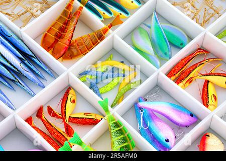 Assortiment de baits de poisson colorés. Accessoires de pêche dans une boîte avec compartiments. Ensemble de leurres multicolores et hameçons pour le passe-temps de pêche. S'attaque. A Banque D'Images