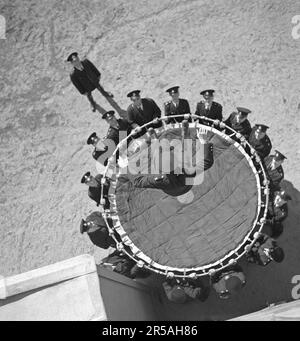 Dans le 1940s. Un brave pompier atterrit dans une feuille de sauvetage. Un dispositif inventé en 1887, et était jusqu'au 1980s utilisé pour sauver des gens en les laissant sauter des étages supérieurs d'un bâtiment en feu dans le filet, généralement au niveau du sol. Les pompiers ont cru que la limite de hauteur pratique pour une utilisation réussie des moustiquaires était d'environ six étages, bien que dans un incendie de Chicago en 1930, trois personnes ont survécu à des sauts d'un bâtiment de huitième étage dans un filet de vie. Un exercice d'une sorte et l'événement est photographié de dessus le bâtiment dans le moment juste avant qu'il atterrit. Suède 1943. Kristoffersson Banque D'Images