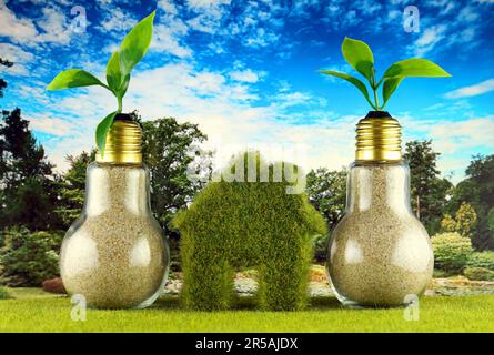 Plantes poussant à l'intérieur des ampoules et icône écologique verte de maison sur l'herbe et le fond bleu ciel. Concept d'énergie renouvelable. Prix de l'électricité, ene Banque D'Images