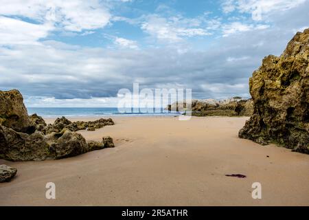 Belle et paisible plage de sable avec des affleurements de roches sédimentaires à Playa Virgen del Mar, Costa Quebrada, Cantabrie, Espagne du Nord Banque D'Images