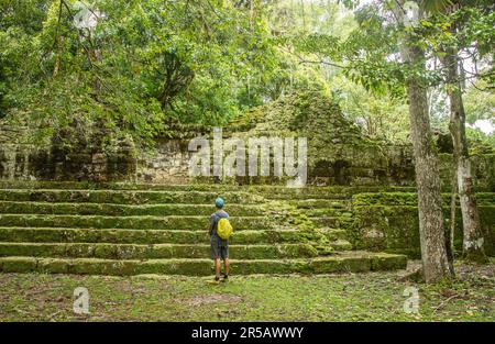 Observation du Temple V au parc national de Tikal, Petén, Guatemala Banque D'Images