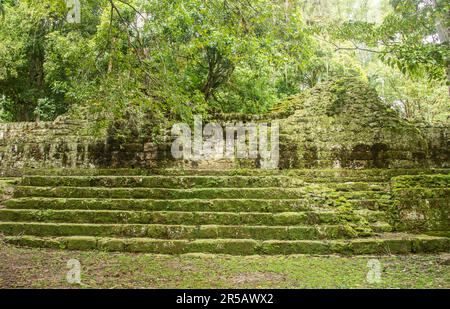 Observation du Temple V au parc national de Tikal, Petén, Guatemala Banque D'Images