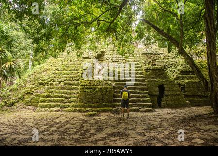Observation du Temple V au parc national de Tikal, Petén, Guatemala Banque D'Images