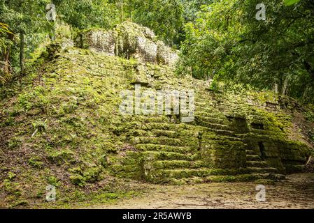 Observation du Temple V au parc national de Tikal, Petén, Guatemala Banque D'Images