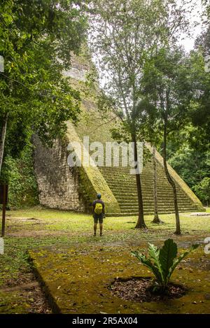 Observation du Temple V au parc national de Tikal, Petén, Guatemala Banque D'Images