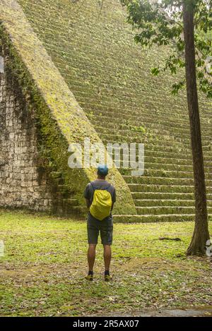 Observation du Temple V au parc national de Tikal, Petén, Guatemala Banque D'Images