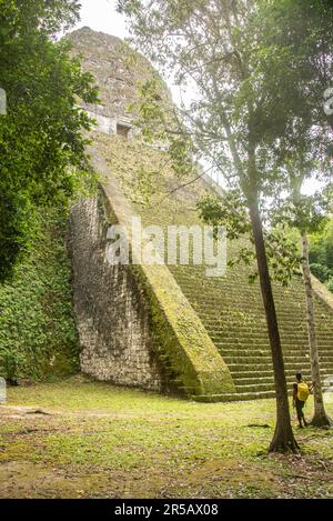 Observation du Temple V au parc national de Tikal, Petén, Guatemala Banque D'Images