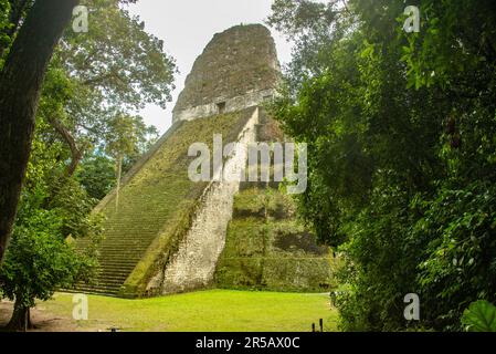 Observation du Temple V au parc national de Tikal, Petén, Guatemala Banque D'Images