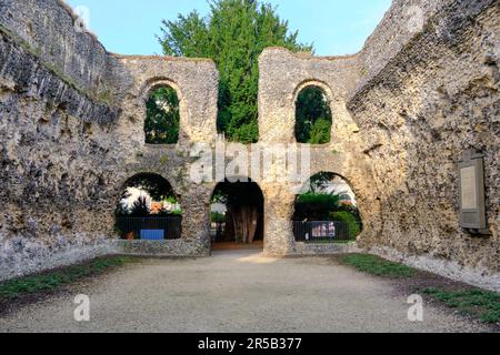 Reading, Berkshire Royaume-Uni 06 septembre 2021. Ruines de la maison de chapitre d'abbaye Banque D'Images