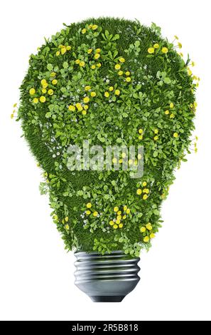 Ampoule. Herbe, fleurs, écologique, concept d'énergie verte. Rendu 3D. Isolé sur fond blanc Banque D'Images