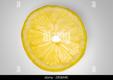 Image macro d'une tranche de citron à travers Banque D'Images