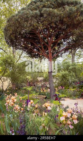 The nature Landscapes Garden conçu par Sarah Price au Chelsea Flower Show 2023 à Londres, Royaume-Uni. Banque D'Images