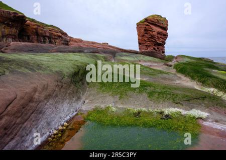 Devils Heid, Seaton Cliffs, Écosse Banque D'Images