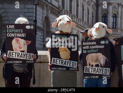 Londres, Royaume-Uni. 2nd juin 2023. Des militants des droits des animaux portant un masque de mouton se trouvent à l'extérieur de Downing Street, demandant au gouvernement de rétablir le projet de loi sur les animaux gardés, qui prévoit de nombreuses protections pour les animaux, et d'interdire les exportations d'animaux vivants. Banque D'Images