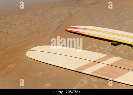 Une scène idyllique sur la plage avec deux planches de surf colorées couchée côte à côte sur le sable Banque D'Images