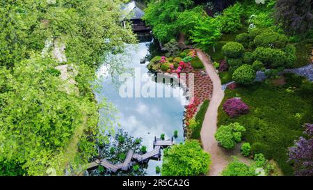 Vue aérienne incroyable sur le pont en zigzag et nature fleurie (rhododendron ou azalea) dans le jardin japonais de Kaiserslautern et érable rouge Banque D'Images