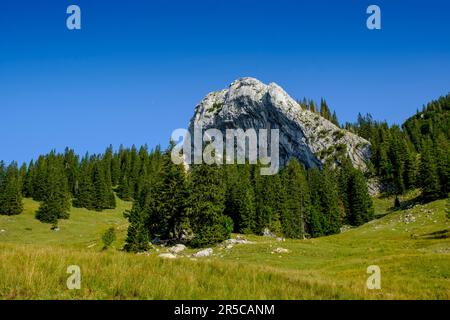 Taubenstein, de l'Obere Maxvrainer Alm, région de Spitzingsee, Alpes, Mangfall Mountains, haute-Bavière, Bavière, Allemagne Banque D'Images