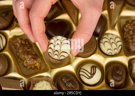 Chocolats, boîte de chocolats, main, accès, doigt, chocolat, à emporter, à emporter, à confection, plaisir, qualité, sélection, praline, bonbons, fourrés Banque D'Images