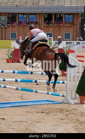 German WarmBlood Riding, obstacle, obstacle, Steeplechase Banque D'Images