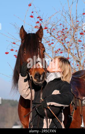 Girls and Welsh Pony, Section D, Mare, Welsh Cob Banque D'Images