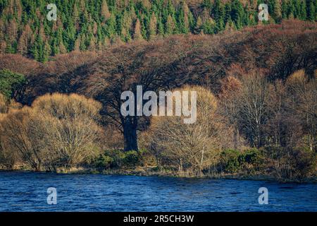 La rivière Spey près du village de Rothes Banque D'Images