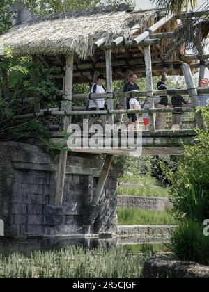 Monsoon Forest Islands au zoo de Chester, Cheshire Banque D'Images