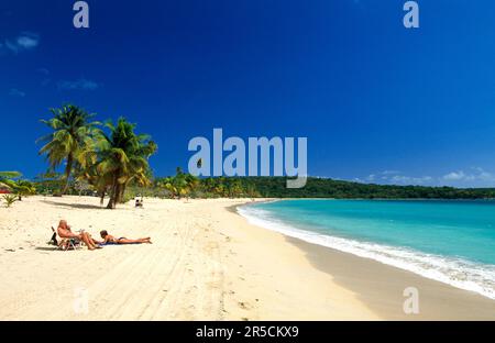 Sun Bay Beach sur l'île de Vieques, Porto Rico, Caraïbes Banque D'Images