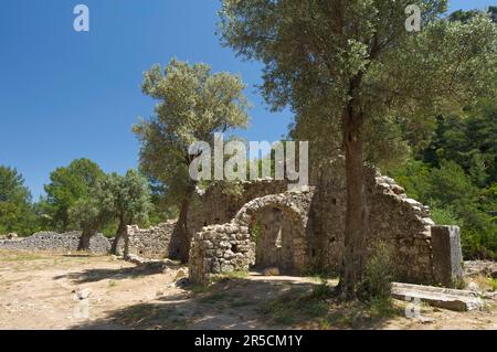 Ruines d'Olympos, près de Kemer, Lycia, Riviera Turque, Turquie Banque D'Images