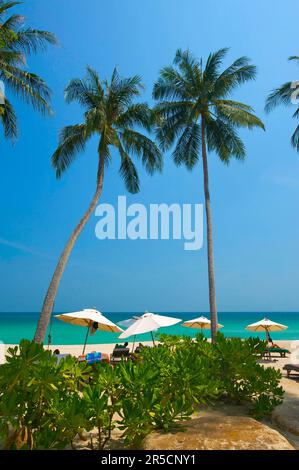 Palm Beach, sud de la Thaïlande, Chaweng Beach, île de Ko Samui, Thaïlande Banque D'Images