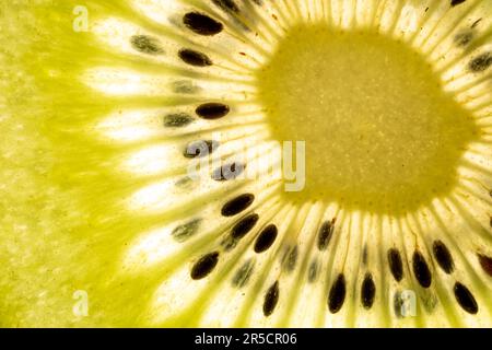 Une photo macro captivante d'une coupe kiwi rétro-éclairée, avec des couleurs éclatantes et des détails captivants Banque D'Images