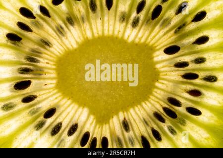 Une photo macro captivante d'une coupe kiwi rétro-éclairée, avec des couleurs éclatantes et des détails captivants Banque D'Images