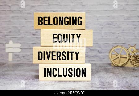 Diversité inclusion appartenance équité symbole. Mots-clés diversité inclusion appartenance équité sur des blocs de bois. Magnifique fond blanc. Entreprise Banque D'Images