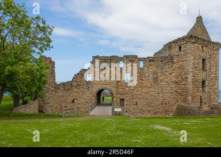Partie des ruines du château de St Andrews, ancien palais des évêques du Burgh, datant du début du 13th siècle. Banque D'Images