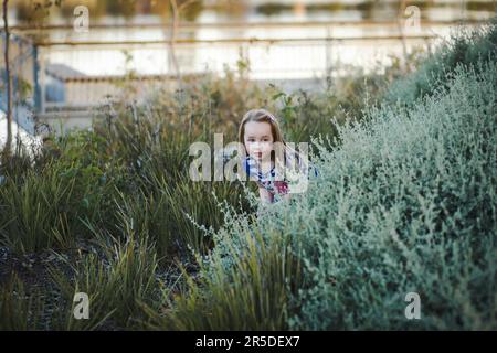 Petite fille se cachant dans les buissons au parc jouant cacher et chercher Banque D'Images