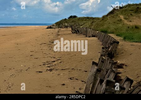 Vue sur la plage parallèle à l'eau avec du sable brun, une clôture en bois abîmée, des dunes de sable herbeuses. Ciel bleu en arrière-plan. Banque D'Images