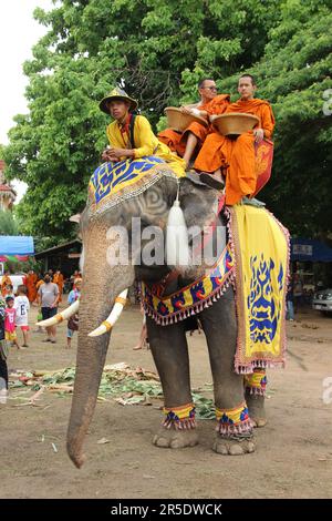 Éléphant d'Asie en Thaïlande Banque D'Images