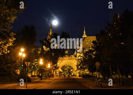 La Lune sur le château de Vajdahunyad - Budapest, Hongrie Banque D'Images