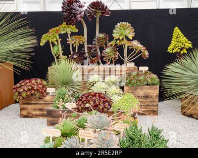 Stands de commerce dans le pavillon du Chelsea Flower Show Banque D'Images