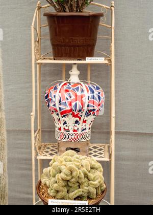 Stands de commerce dans le pavillon du Chelsea Flower Show Banque D'Images