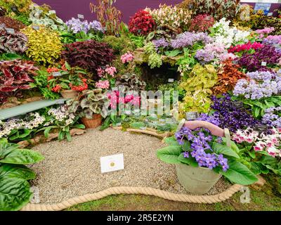 Stands de commerce dans le pavillon du Chelsea Flower Show Banque D'Images