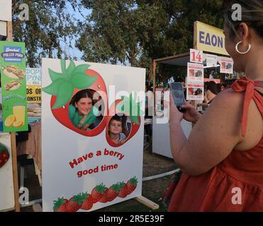 Deryneia, Chypre. 2nd juin 2023. Une femme prend des photos pour sa famille au festival des fraises de Deryneia, Chypre, sur 2 juin 2023. Le festival des fraises a eu lieu ici vendredi, attirant beaucoup de résidents et de visiteurs locaux. Credit: Guo Mingfang/Xinhua/Alamy Live News Banque D'Images