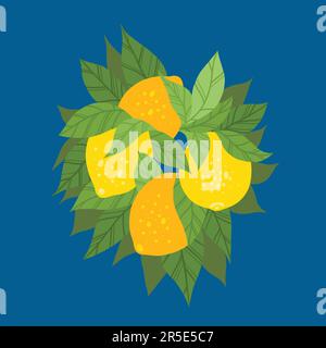 Illustration vectorielle d'un bouquet de citrons avec feuillage sur fond bleu. Carte postale avec fruits tropicaux. Lime plate à clipart dessinée à la main Illustration de Vecteur