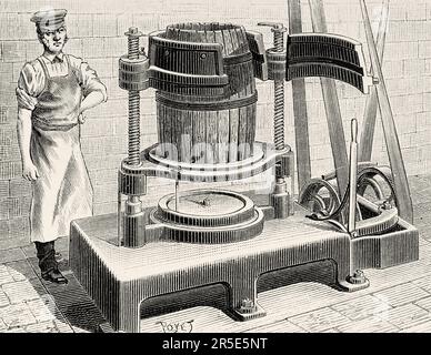 Machine de montage de fût en bois. Ancienne gravure du 19th siècle de la nature 1887 Banque D'Images