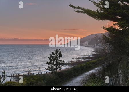 Côte d'Eastbourne et Beachy Head au coucher du soleil avec des arbres au premier plan. Banque D'Images