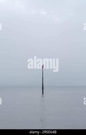 Cormorant perché sur un poteau dans une mer calme Banque D'Images