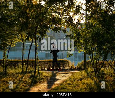 La femme qui fait du jogging dans les lumières du matin. Les gens ont besoin d'une zone verte où ils peuvent faire du sport. Les gens aiment courir entre les arbres. La course dans la zone verte i Banque D'Images