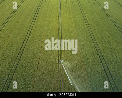 Prendre soin de la récolte. Vue aérienne du système d'irrigation pour l'agriculture, l'arrosage des terres agricoles Banque D'Images