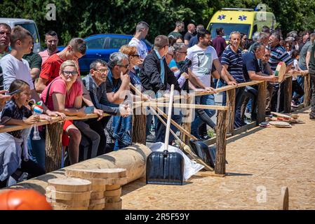 Vinkovci, Hrvatska. 03rd juin 2023. Les journées de la foresterie croate et la compétition nationale de coupe du bois de 13th ont eu lieu cette année dans la plus ancienne ville de Croatie et d'Europe - Vinkovci sur 03. Juin 2023. La concurrence des travailleurs forestiers a lieu conformément aux dispositions strictement prescrites de l'Ordonnance sur la concurrence d'État des travailleurs forestiers et des Bûcherons, harmonisée avec le Règlement de l'organisation internationale qui organise le Championnat mondial des travailleurs forestiers-Bûcherons. Photo: Davor Javorovic/PIXSELL crédit: Pixsell/Alay Live News Banque D'Images